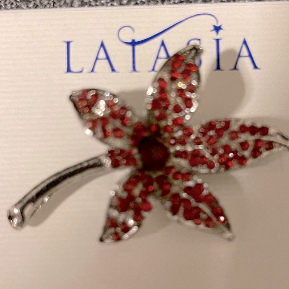 Beautiful broach with red glass stones